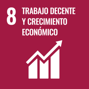 #8 Trabajo decente y crecimiento económico