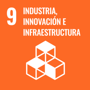 #9 Industria, Innovación e Infraestructura