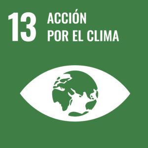 #13 Acción por el clima